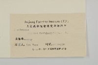 華東山柳藏品圖，第3張