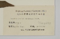 永瓣藤藏品圖，第3張