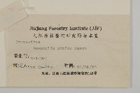 香青藏品圖，第3張