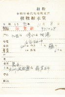 光葉絞股藍藏品圖，第2張