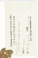 光葉絞股藍藏品圖，第3張