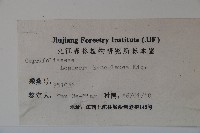 裡白忍冬、紅腺忍冬藏品圖，第2張