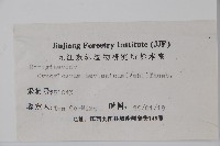 琉璃草藏品圖，第2張