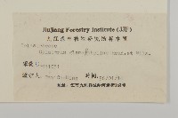 灰葉南蛇藤藏品圖，第3張