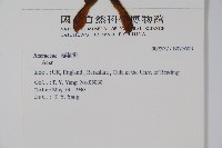 登錄號:S025693藏品圖，第2張