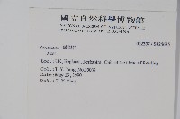 登錄號:S025695藏品圖，第2張