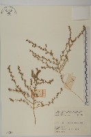 登錄號:S025712藏品圖，第1張