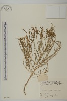 登錄號:S025716藏品圖，第1張