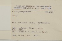 登錄號:S025721藏品圖，第3張