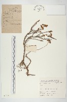 登錄號:S025726藏品圖，第1張