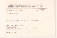 登錄號:S025727藏品圖，第3張