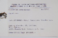 登錄號:S025736藏品圖，第2張