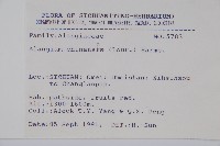 八角楓藏品圖，第2張