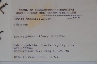 登錄號:S025772藏品圖，第2張