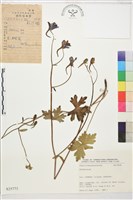 登錄號:S025773藏品圖，第1張