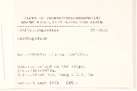 登錄號:S025778藏品圖，第3張