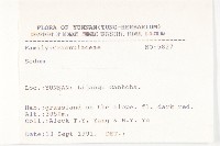 登錄號:S025780藏品圖，第3張