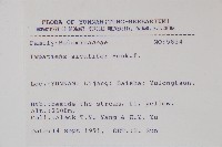 黃金鳳藏品圖，第2張