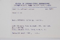 登錄號:S025805藏品圖，第2張