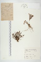 登錄號:S025806藏品圖，第1張