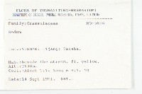 登錄號:S025806藏品圖，第3張