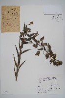 登錄號:S025811藏品圖，第1張