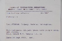 登錄號:S025814藏品圖，第2張