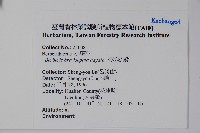 高山小蘗藏品圖，第2張