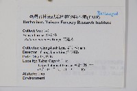 黃連木、爛心木藏品圖，第2張