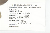 亨利氏伊立基藤藏品圖，第5張