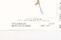 登錄號:S025877藏品圖，第6張