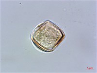 登錄號:S025877藏品圖，第3張