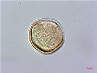 登錄號:S025877藏品圖，第4張