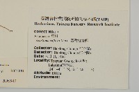 臺灣鬼督郵藏品圖，第2張