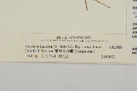 臺灣鬼督郵藏品圖，第3張