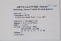 鷗蔓藏品圖，第2張