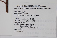 酸藤藏品圖，第2張