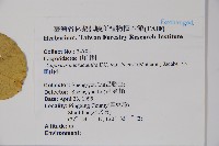 小刺山柑藏品圖，第2張