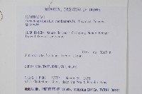 蘭嵌馬藍藏品圖，第2張