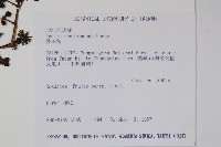 鵲不踏藏品圖，第2張