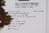 鵲不踏藏品圖，第4張