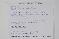 水鴨腳藏品圖，第2張