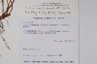 登錄號:S026116藏品圖，第2張