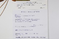 登錄號:S026186藏品圖，第2張