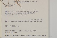 臺灣鬼督郵藏品圖，第2張