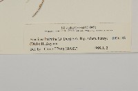 臺灣鬼督郵藏品圖，第3張