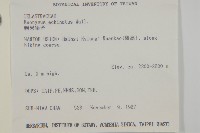 刺果衛矛藏品圖，第2張