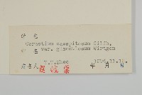 卷耳藏品圖，第3張