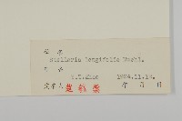 華繁縷藏品圖，第3張