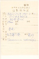 異苞蒲公英藏品圖，第2張